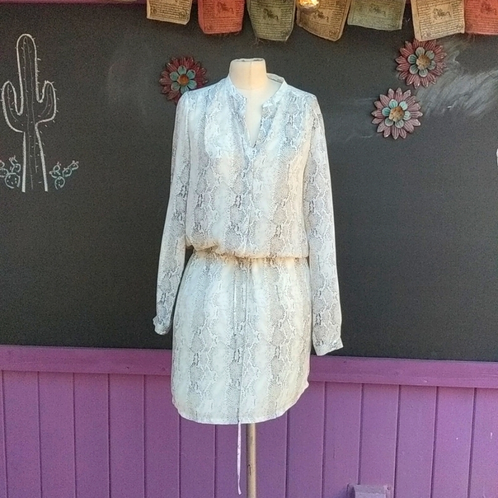 Gorgeous Hilary Radley shirt dress